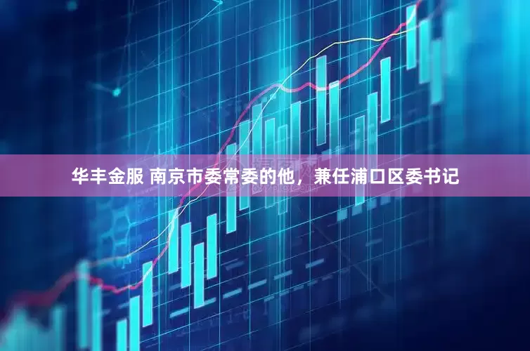 华丰金服 南京市委常委的他，兼任浦口区委书记