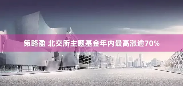 策略盈 北交所主题基金年内最高涨逾70%