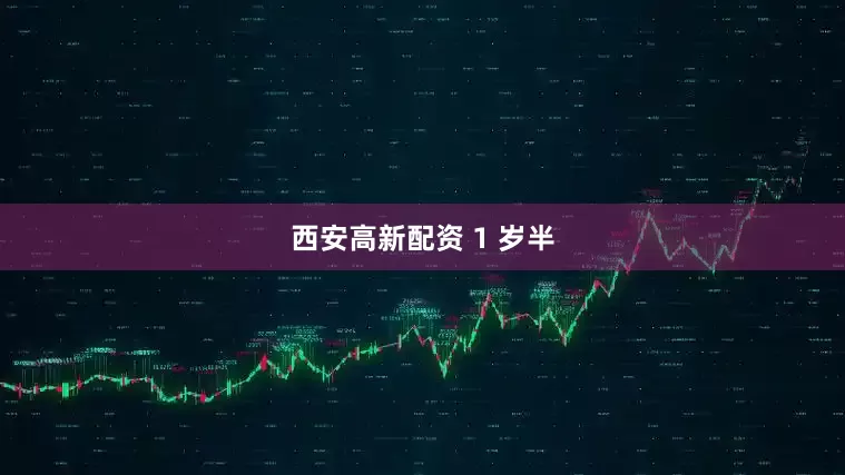 西安高新配资 1 岁半